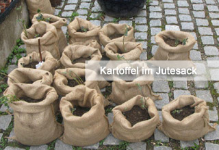 Kartoffelsack