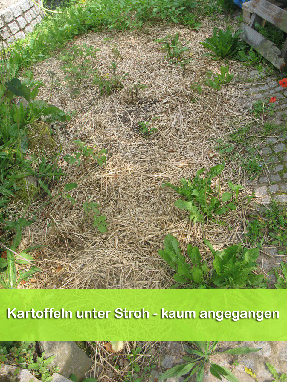 Strohkartoffel