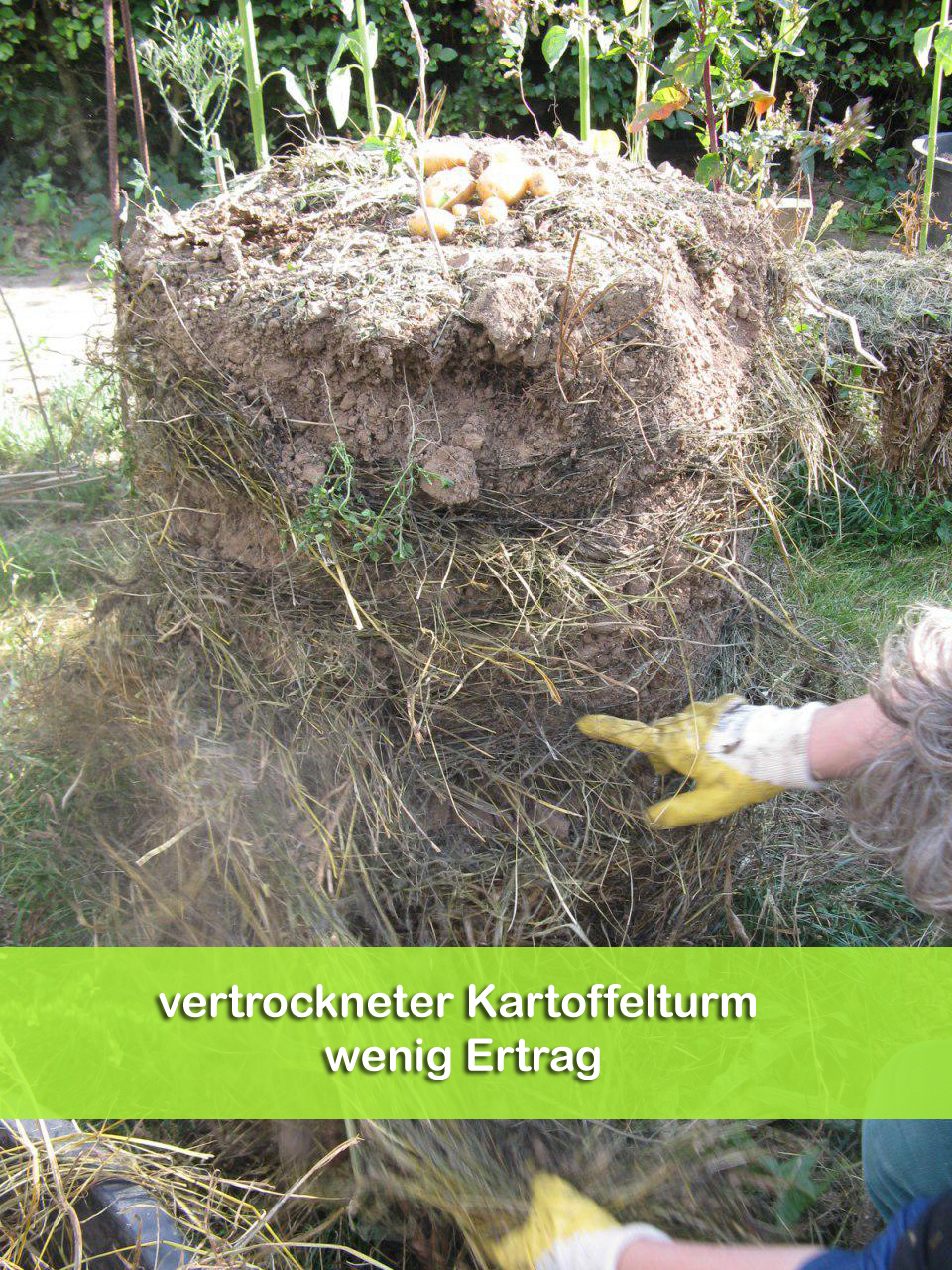 Kartoffelturm-trocken