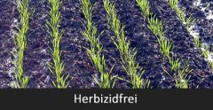 Herbizidfreie Bodenpflege – geht das?