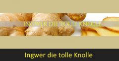 Ingwer selbst anbauen