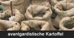 Kartoffel im Eimer - Kartoffel ist im Eimer