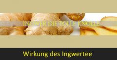 Wirkung des Ingwertee