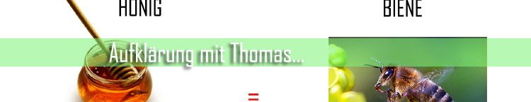 Thomas-Merz-klaert-auf