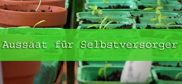 Aussaat-fuer-Selbstversorger