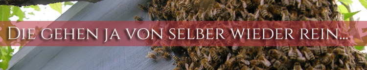 die gehen von selbst rein
