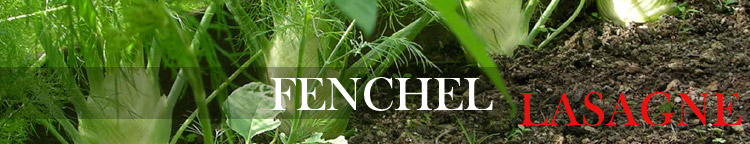 Jungmichels-Fenchel-Lasagne