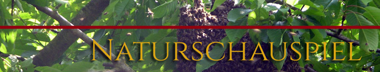 Naturschauspiel